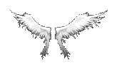 Wings of Heaven+0
